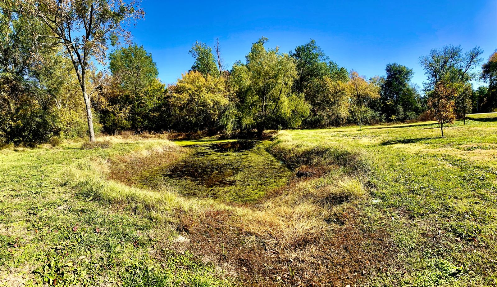 Pond at Park B
