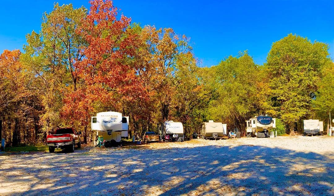 Park C campground in autumn